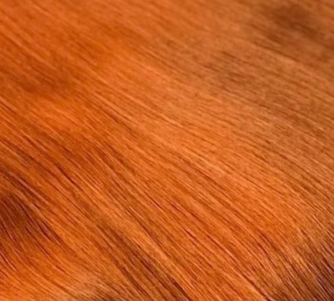 Virgin Human Hair Bodywave Extensions (X3 Pack)