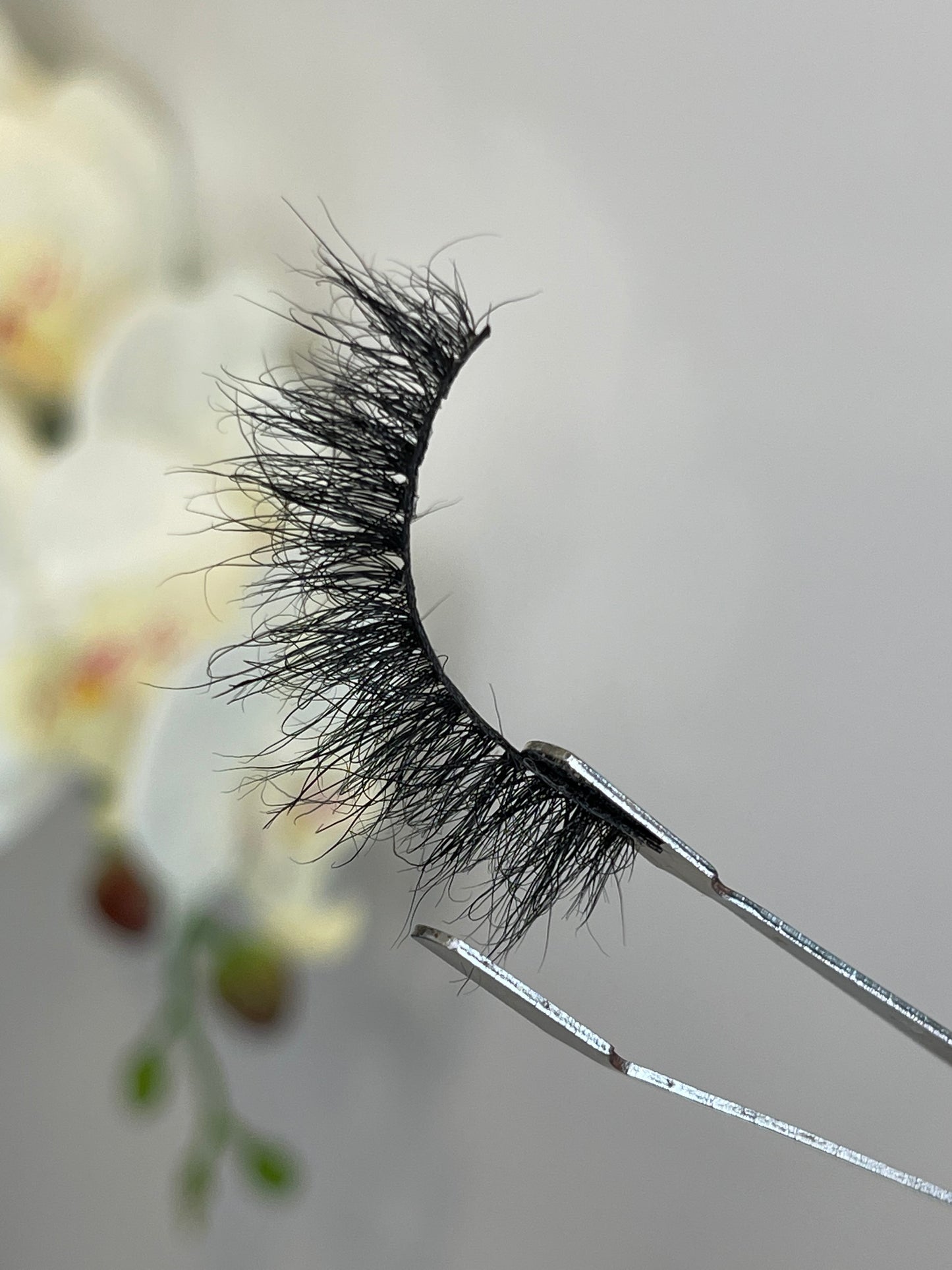 Malibu DS08 | Faux Mink Lash