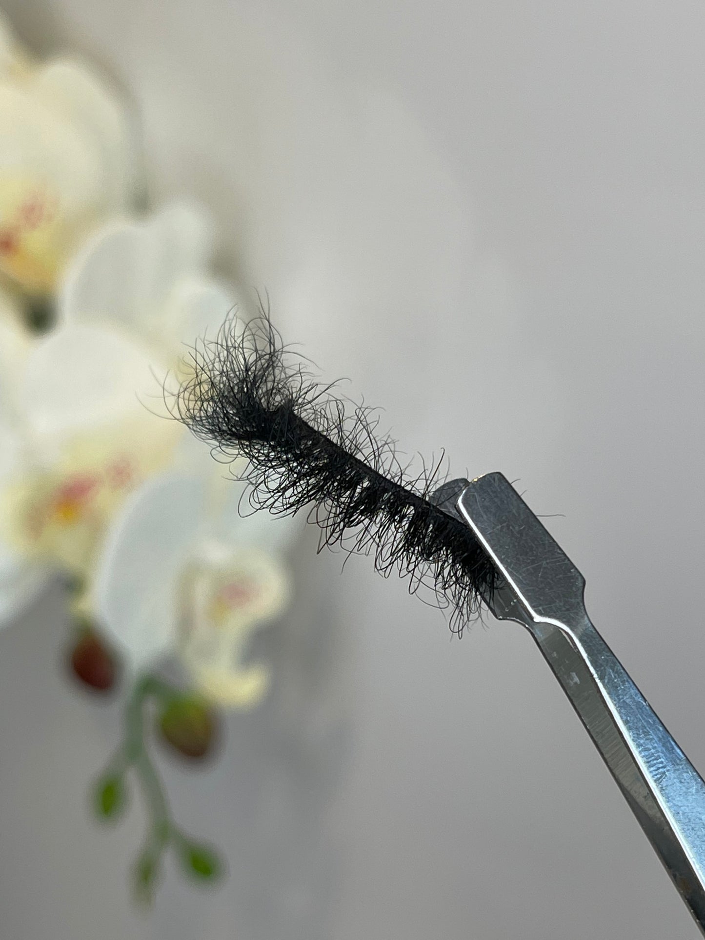 Malibu DS08 | Faux Mink Lash